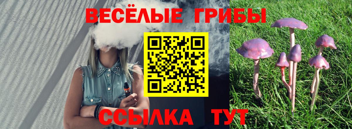 Псилоцибиновые грибы мицелий Сочи