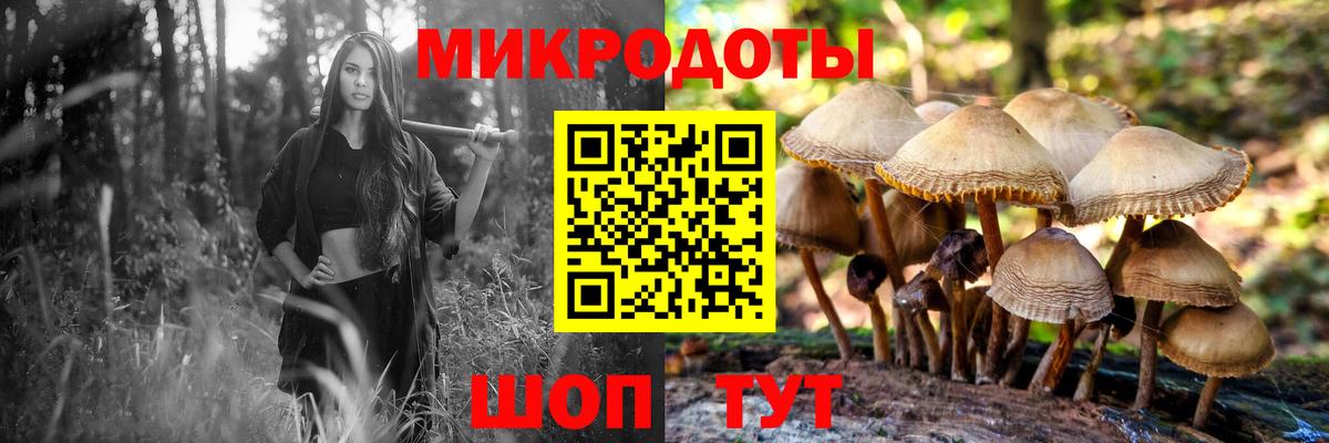 Сочи  Псилоцибиновые грибы MAGIC MUSHROOMS  Вход с VPN 
