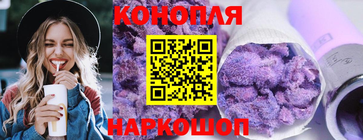 Бошки марихуана конопля Сочи